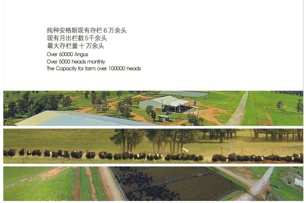 浙江新東陽(yáng)建設(shè)集團(tuán)有限公司