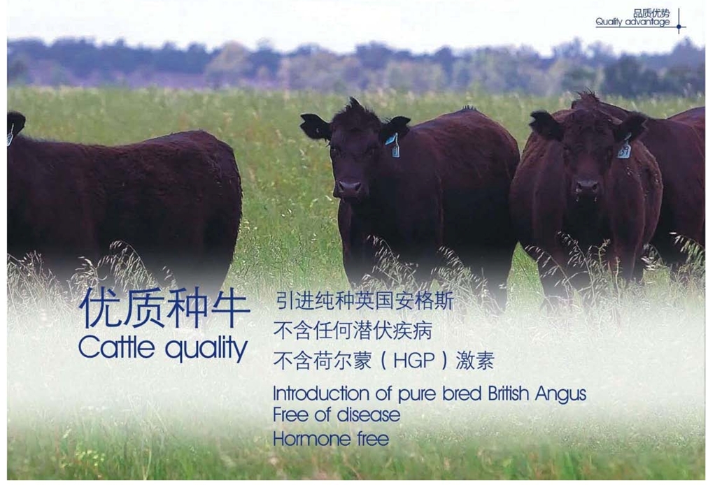 浙江新東陽建設(shè)集團(tuán)有限公司